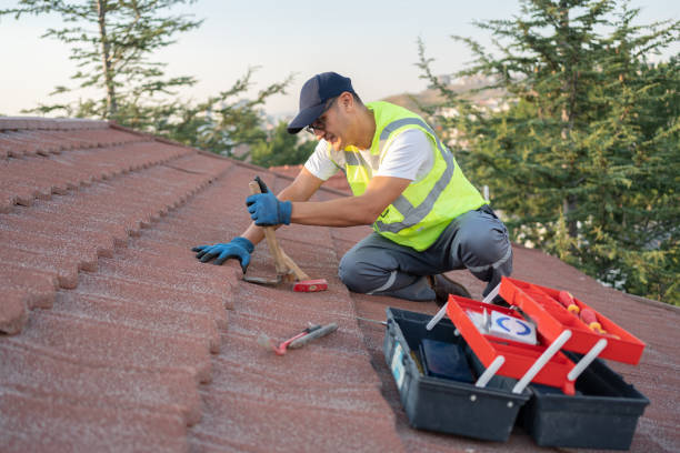 Best Roof Leak Repair  in Berryville, TX