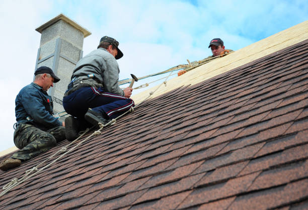 Best Emergency Roof Repair  in Berryville, TX